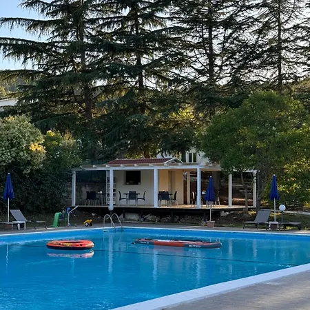 Citrigni-2